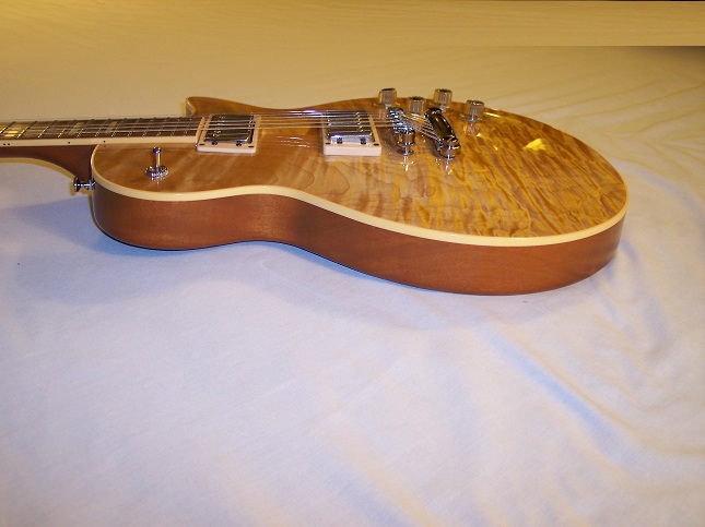 Bluesbird Picture 11